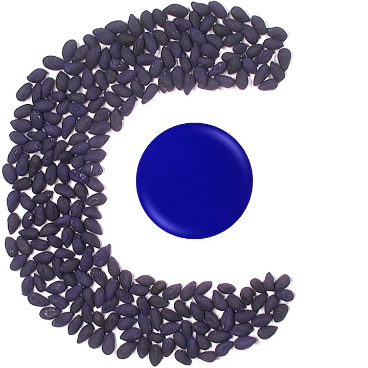 Agicote 117 coton