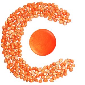 Agicote 331 mais