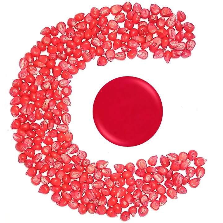 Agicote 441 mais