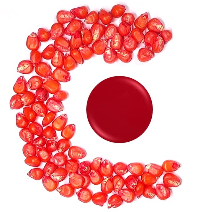 Agicote 445 mais